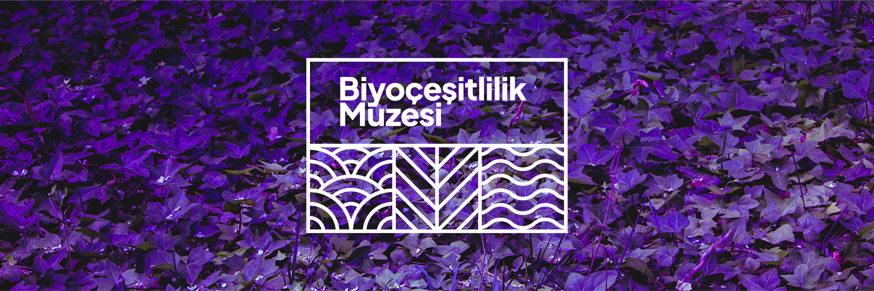 Biyoçeşitlilik Müzesi detail 1