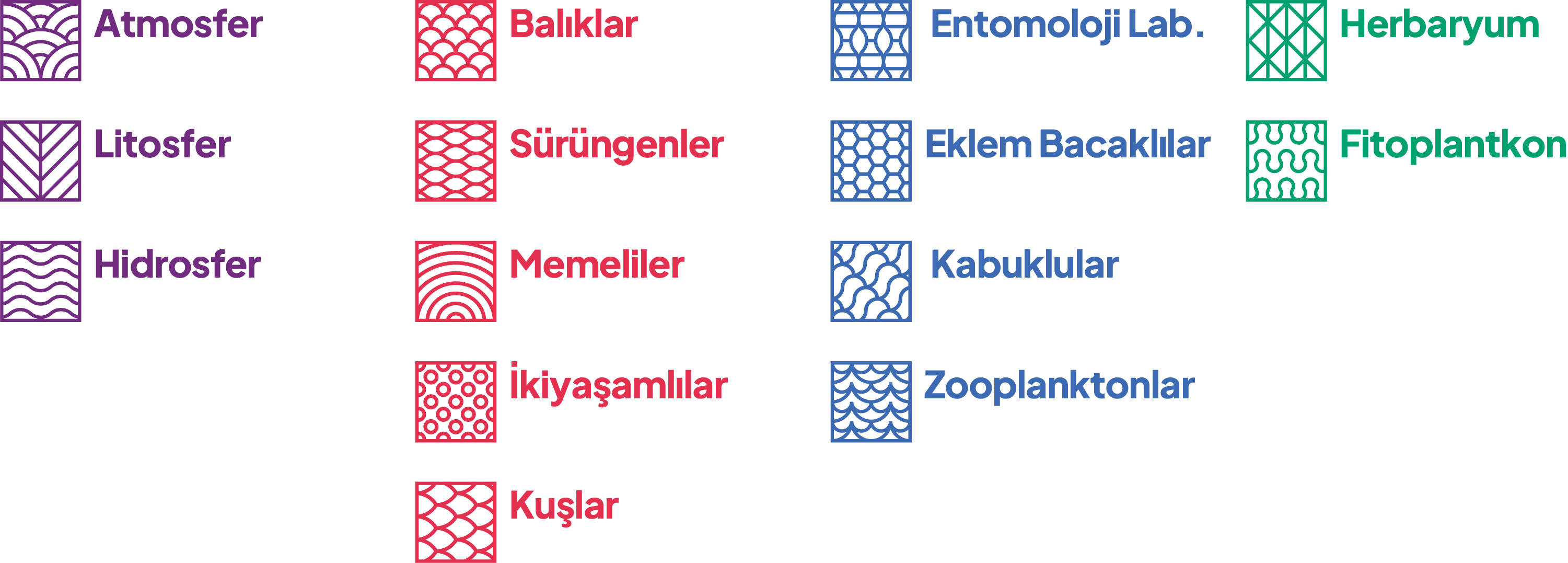 Biyoçeşitlilik Müzesi detail 2