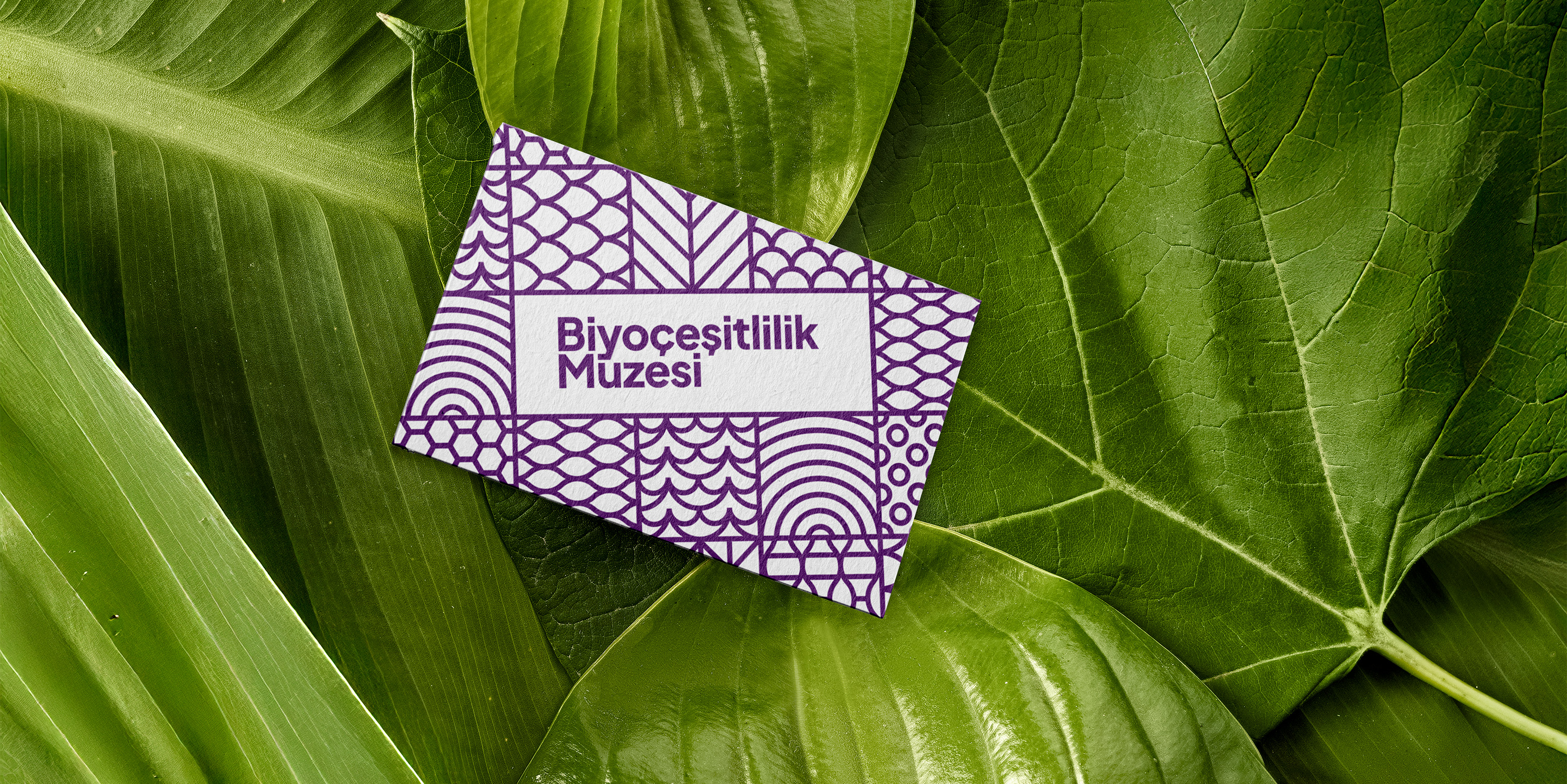 Biyoçeşitlilik Müzesi detail 6