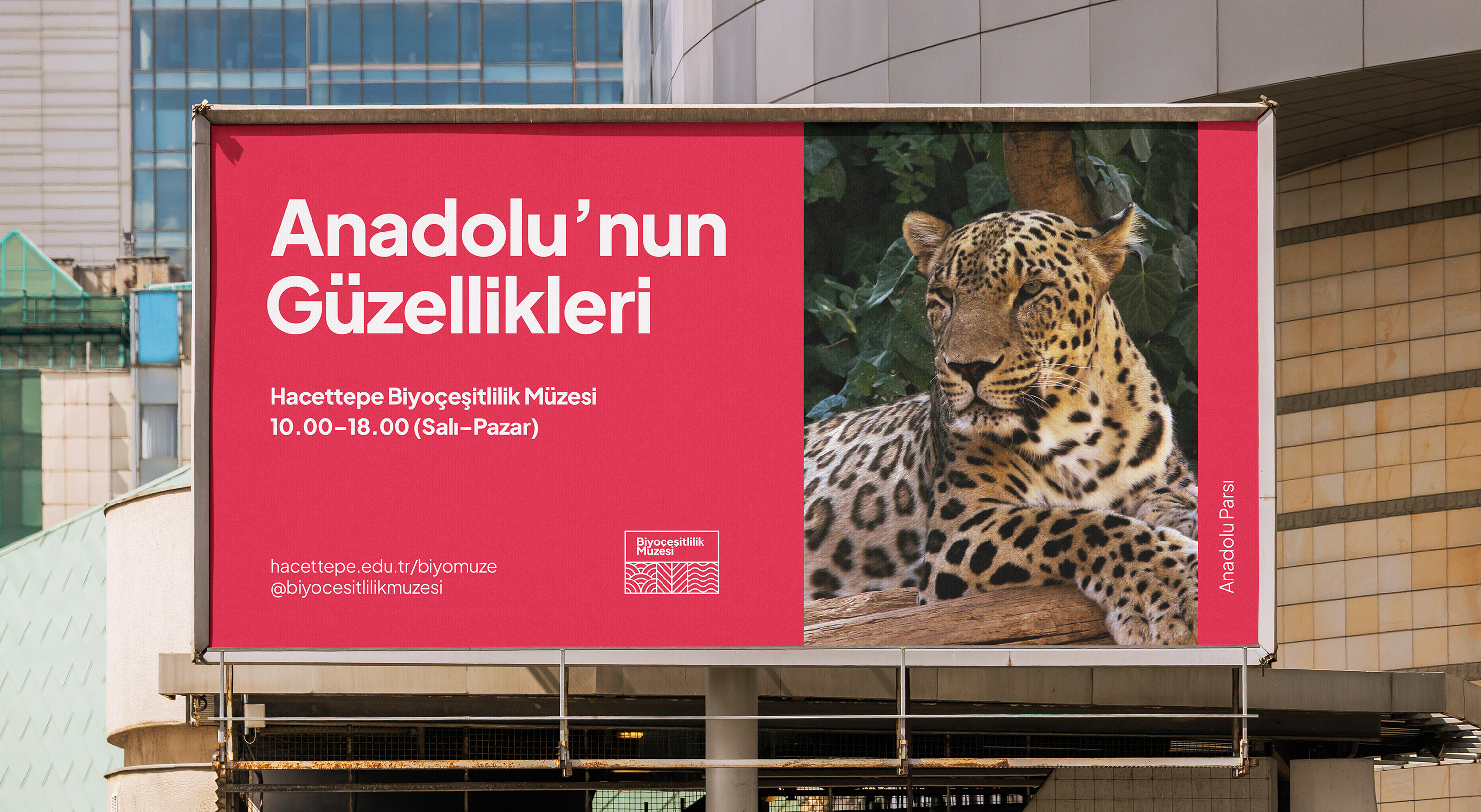 Biyoçeşitlilik Müzesi detail 9