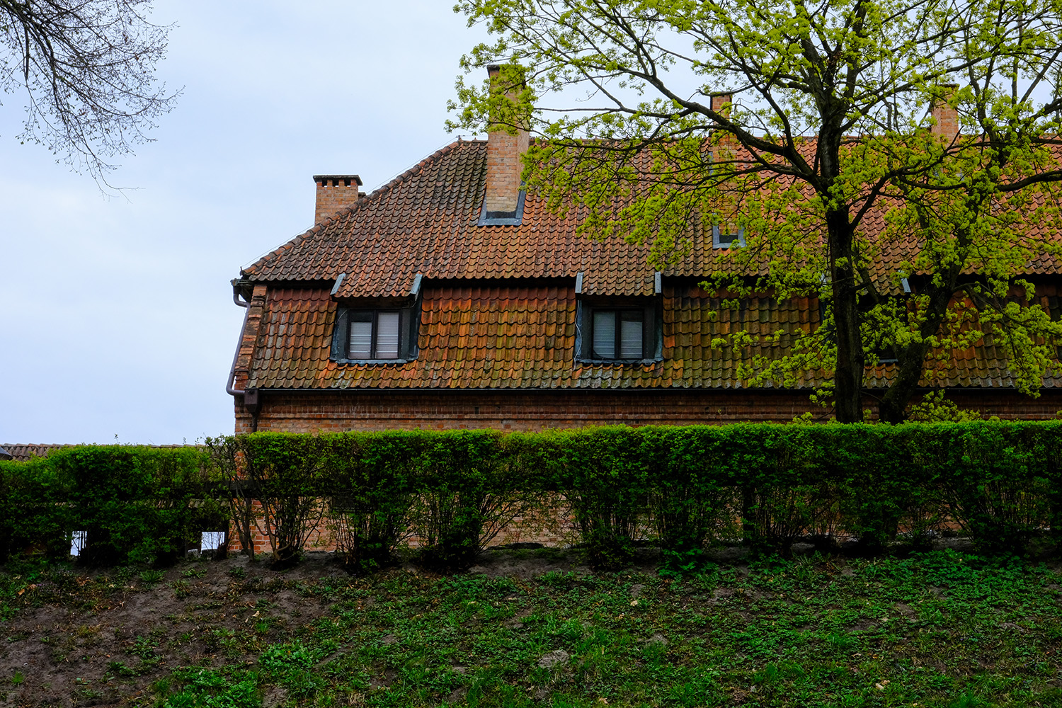 Malbork Kalesi
